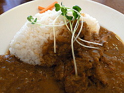 イクイップメントフロア:スパイシー・チキンカレー