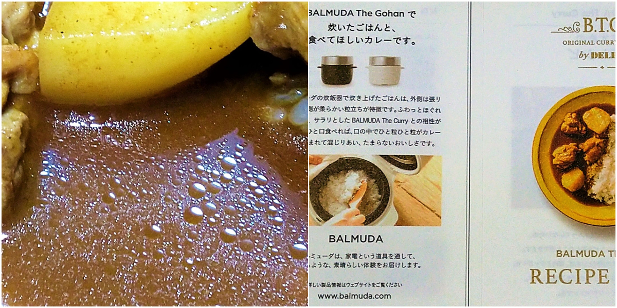 BALMUDA The Curry：実物＆リーフレット